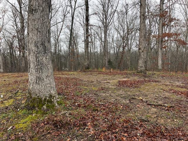 0 Russell Lane, Unit 11 Decatur, TN 37322 - Photo 10 of 12 RUSSELL 3