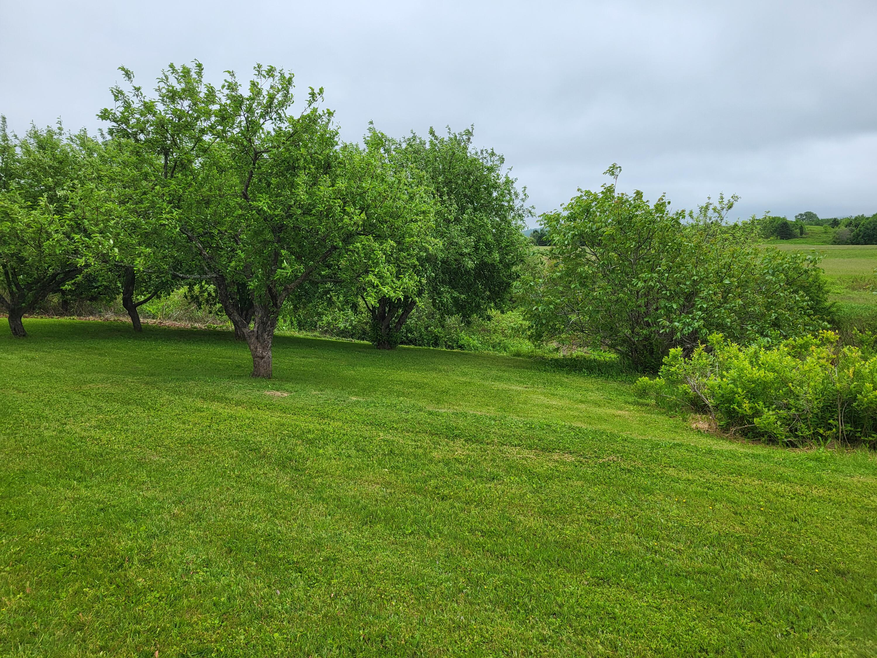 305 Fuller Road Easton, ME 04740 - Photo 16 of 79 1000039828
