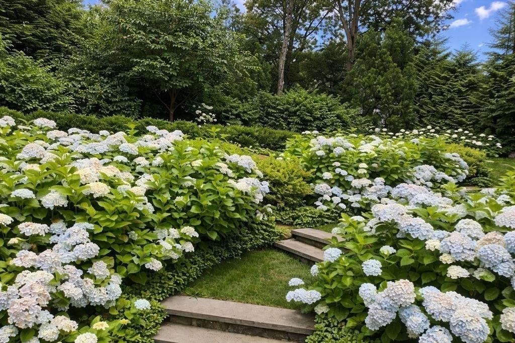 8 Glen Brook Road Wellesley, MA 02481 - Photo 29 of 32 a view of a bunch of flowers in a garden