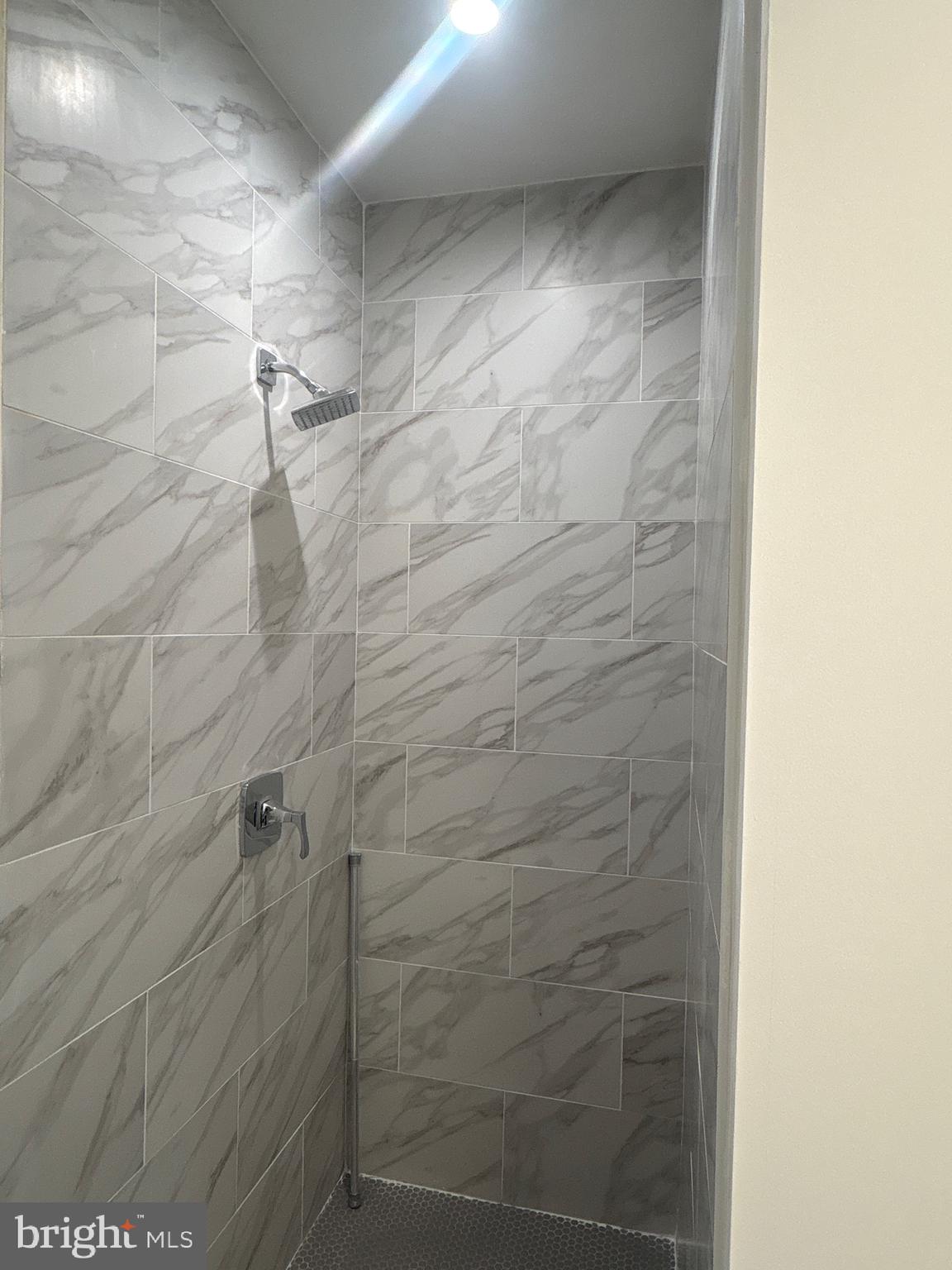 818 Bladensburg Road Northeast, Unit 408 Washington, DC 20002 - Photo 8 of 10 a bathroom with a shower