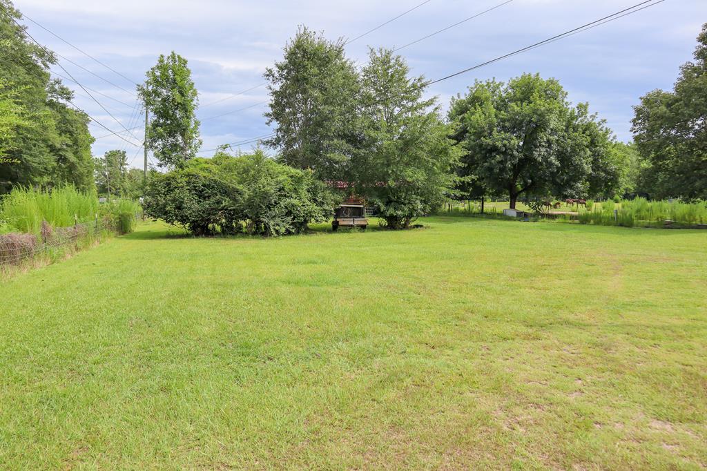 0 Watson Bridge Road Dothan, AL 36303 - Photo 6 of 9