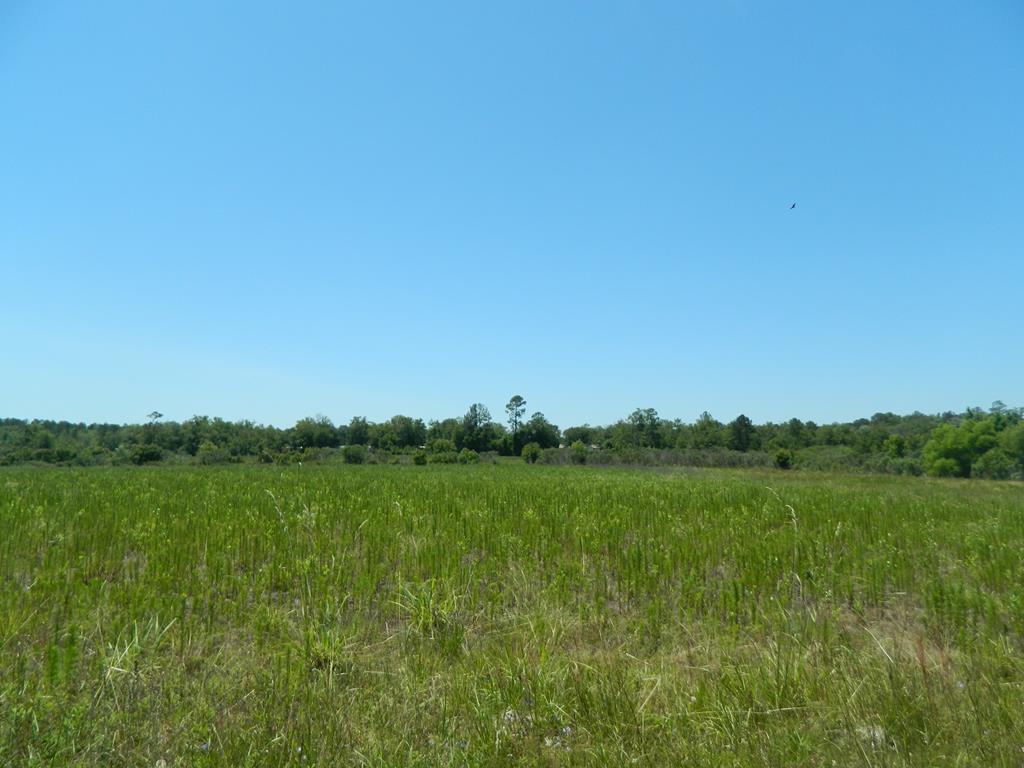 0 Moore Road Valdosta, GA 31605 - Photo 1 of 1 Gallery Image 1