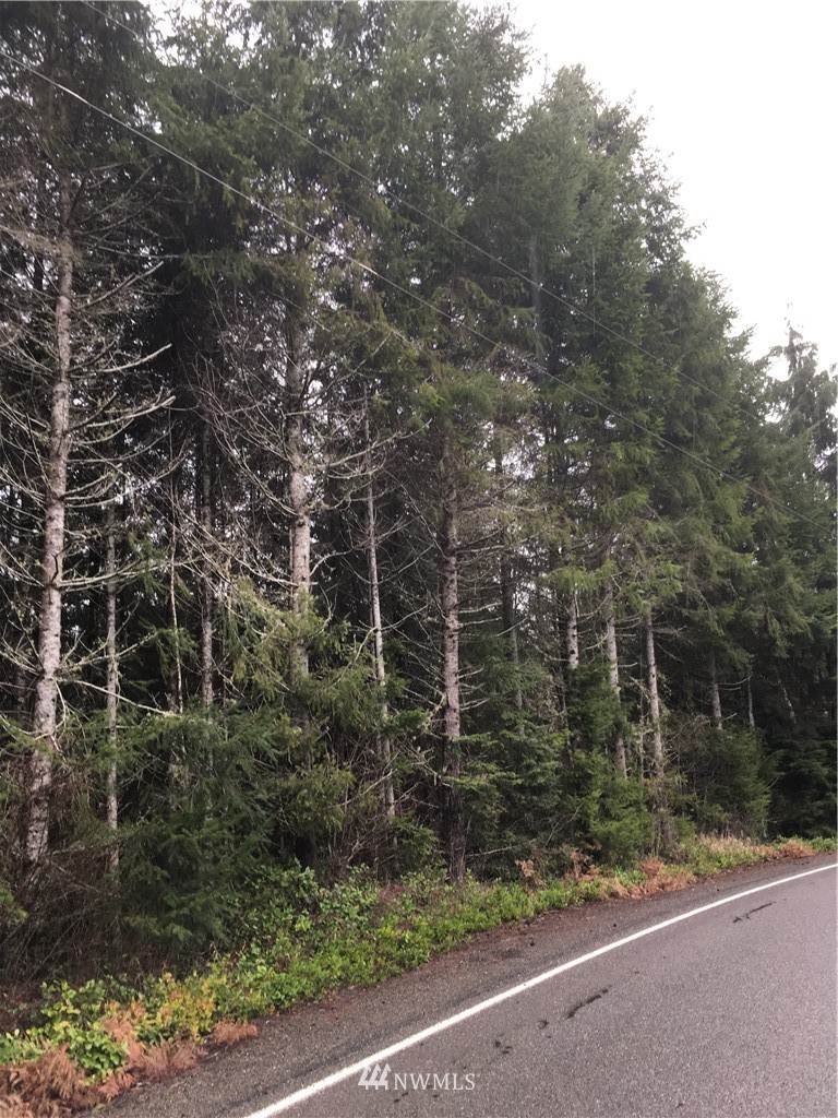185 X Bunker Creek Road Chehalis, WA 98532 - Photo 2 of 12 Gallery Image 2