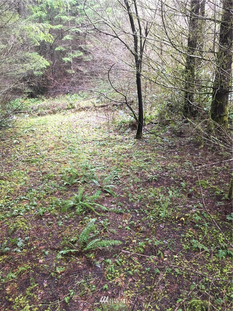 185 X Bunker Creek Road Chehalis, WA 98532 - Photo 9 of 12 Gallery Image 9