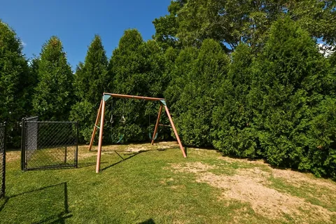 a view of a backyard with plants and large tree