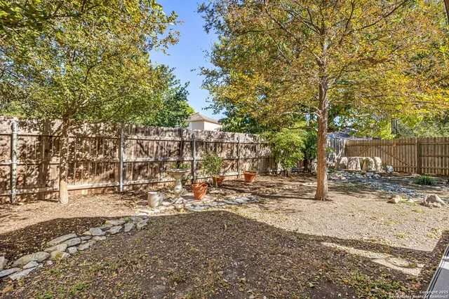 a view of a yard with trees