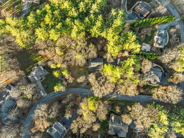 a picture of flowers