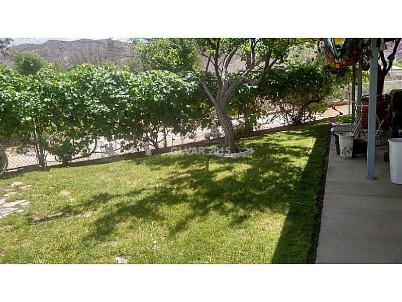 943 Holt Caliente, NV 89008 - Photo 11 of 35 Property Photo. Backyard