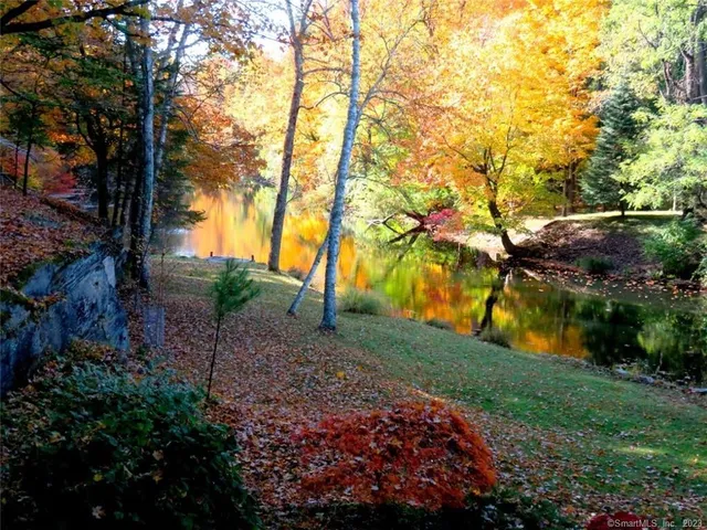 a view of backyard with green space