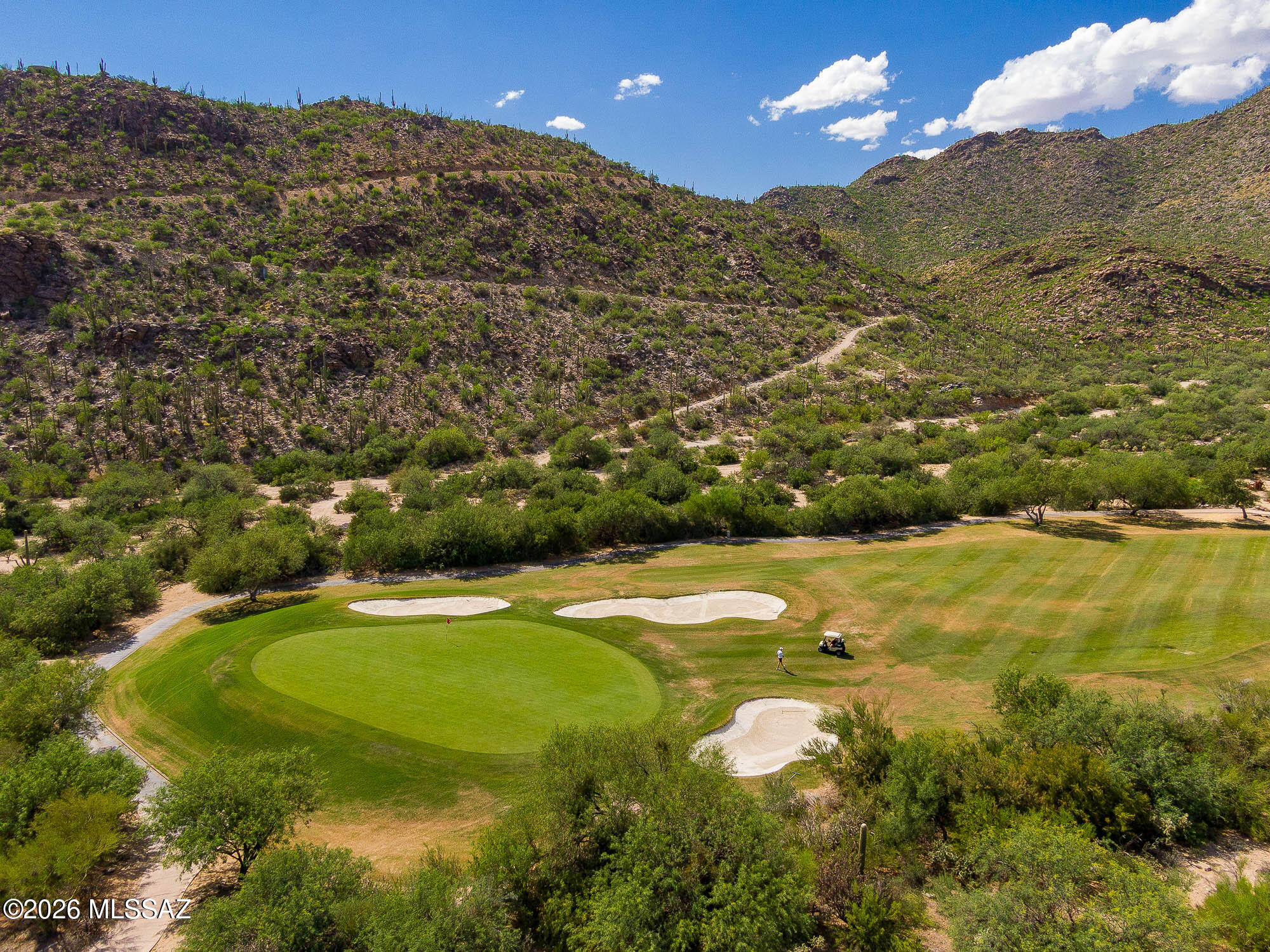 14225 North Rocking Ridge Court Marana, AZ 85658 - Photo 46 of 51 Golf course