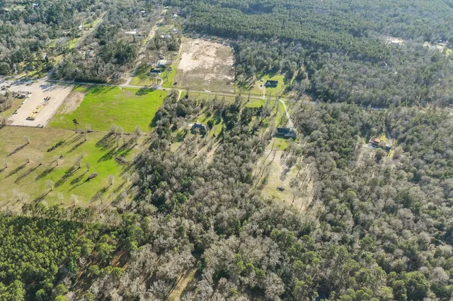 a view of a yard with plants and tree