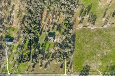 a view of a garden with plants