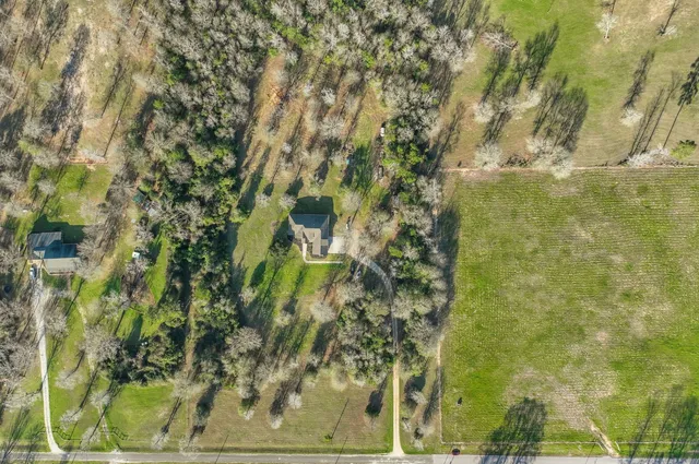 a view of a garden with plants