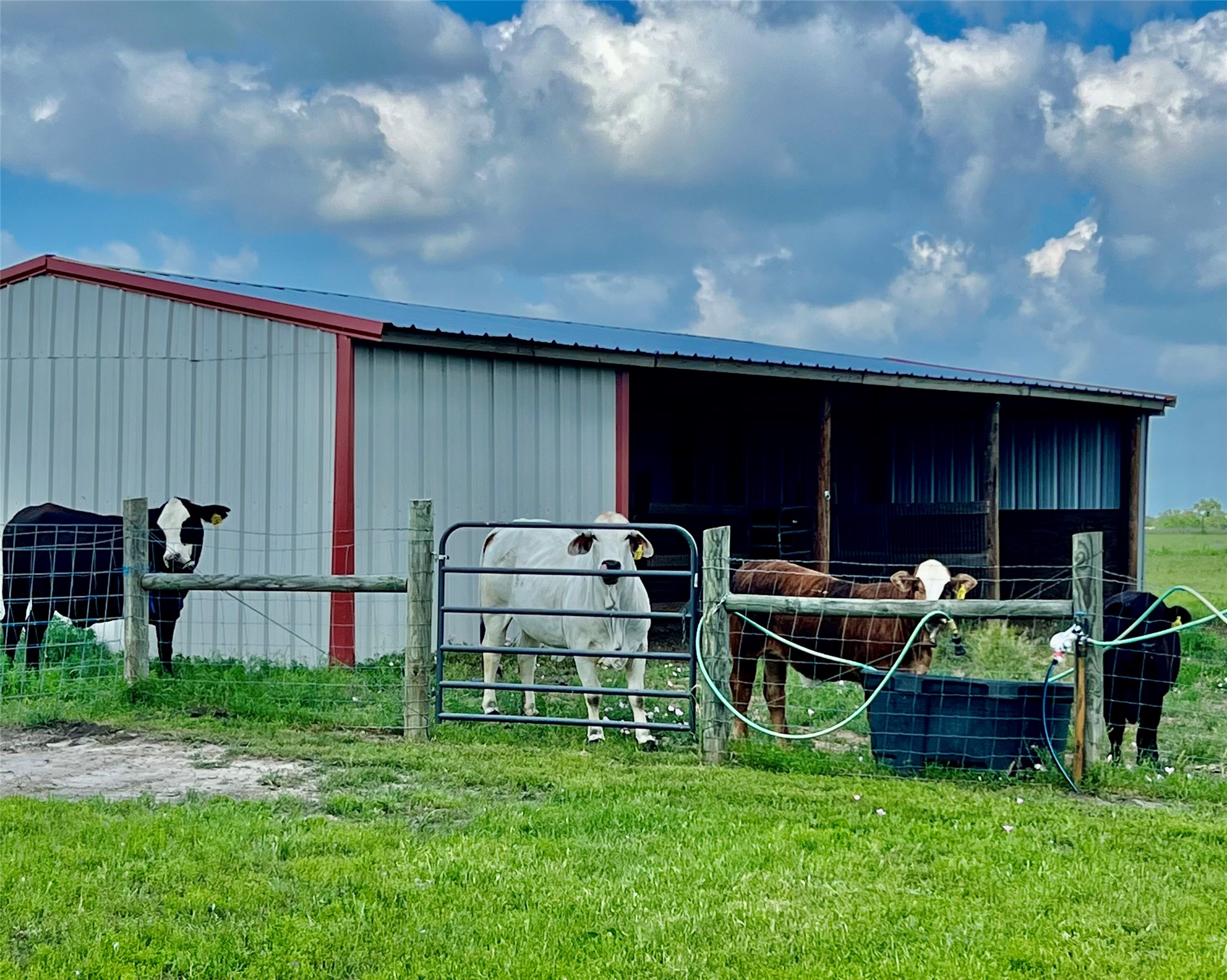 7210 Goehring Road Ledbetter, TX 78946 - Photo 25 of 47 a view of house with backyard and outdoor seating