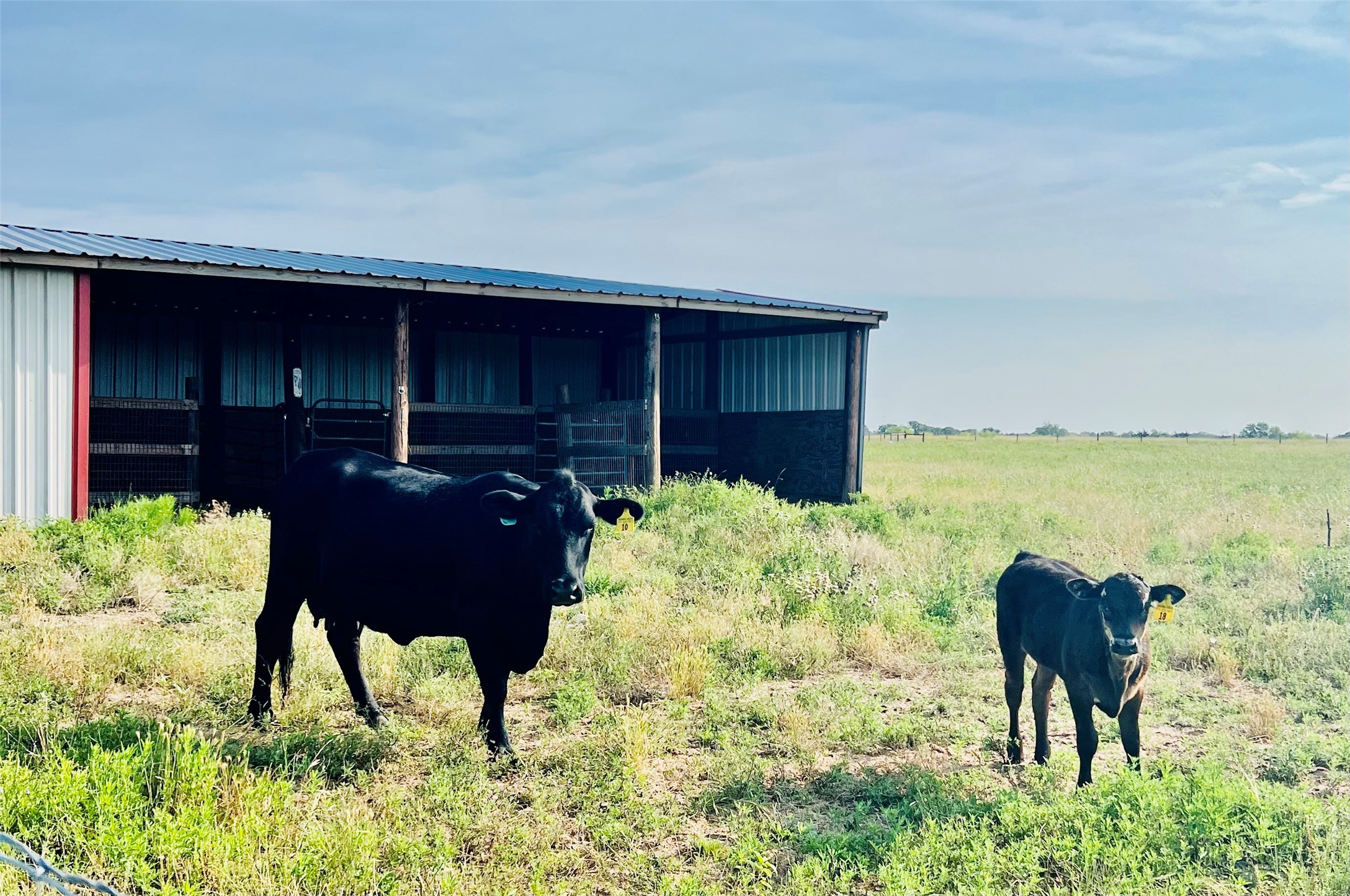 7210 Goehring Road Ledbetter, TX 78946 - Photo 28 of 47