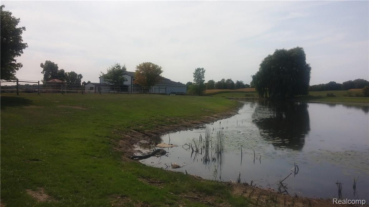 651 Burkley Road Mason, MI 48854 - Photo 39 of 47 Outdoor Arena, horse barn view across pond