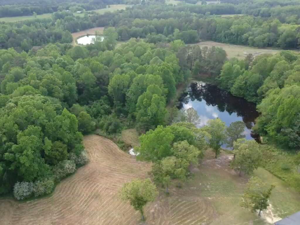 3199 Roy Reeves Road Thomson, GA 30824 - Photo 35 of 40 IMG_1936