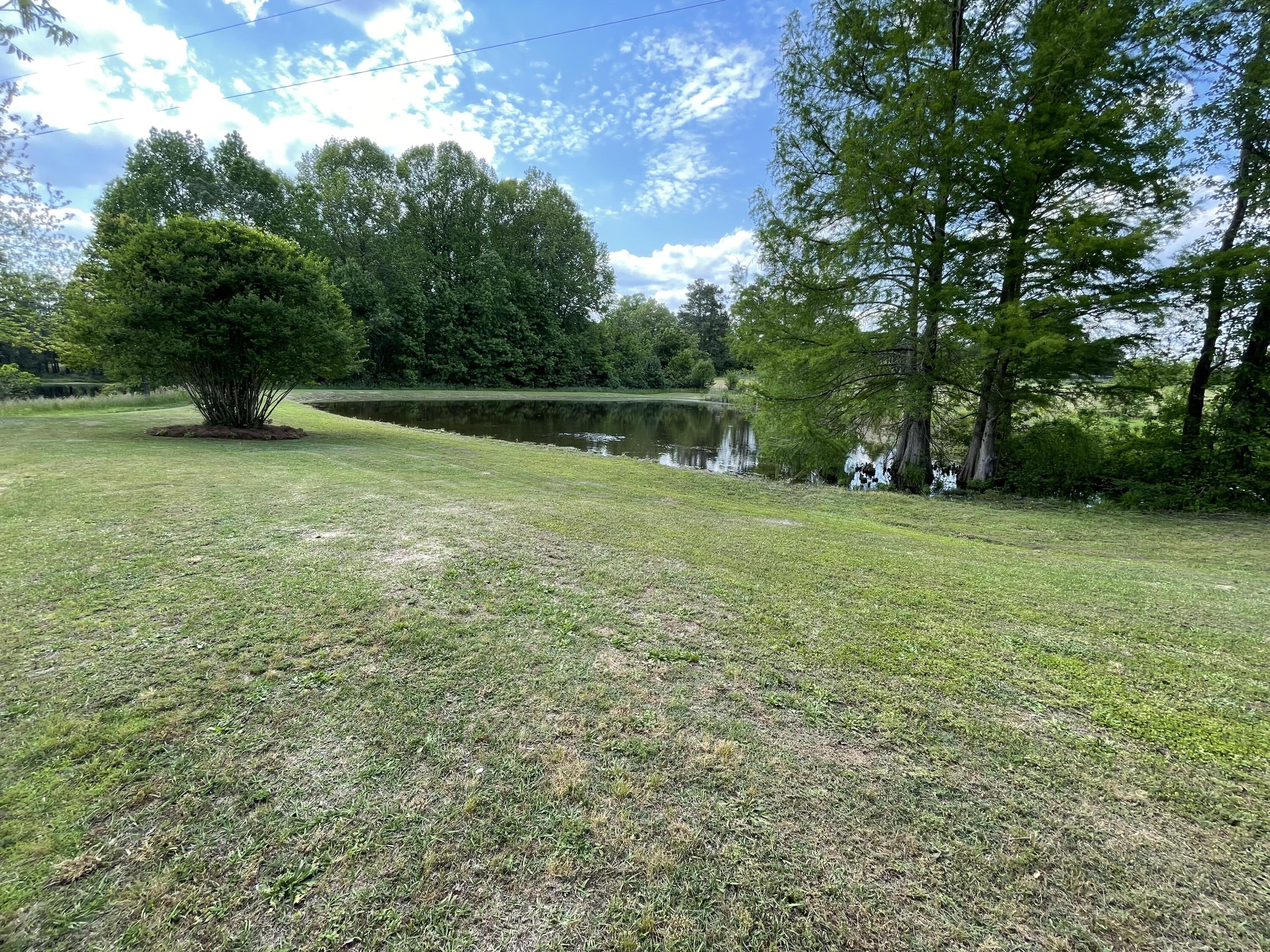 3199 Roy Reeves Road Thomson, GA 30824 - Photo 7 of 40 IMG_1910