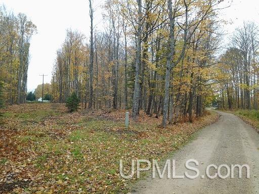 Tbd Whitefish Road Chatham, MI 49816 - Photo 8 of 30