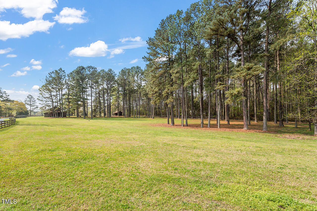 1906 Boyce Bridge Road Creedmoor, NC 27522 - Photo 6 of 39 1906 Boyce Bridge Road_09