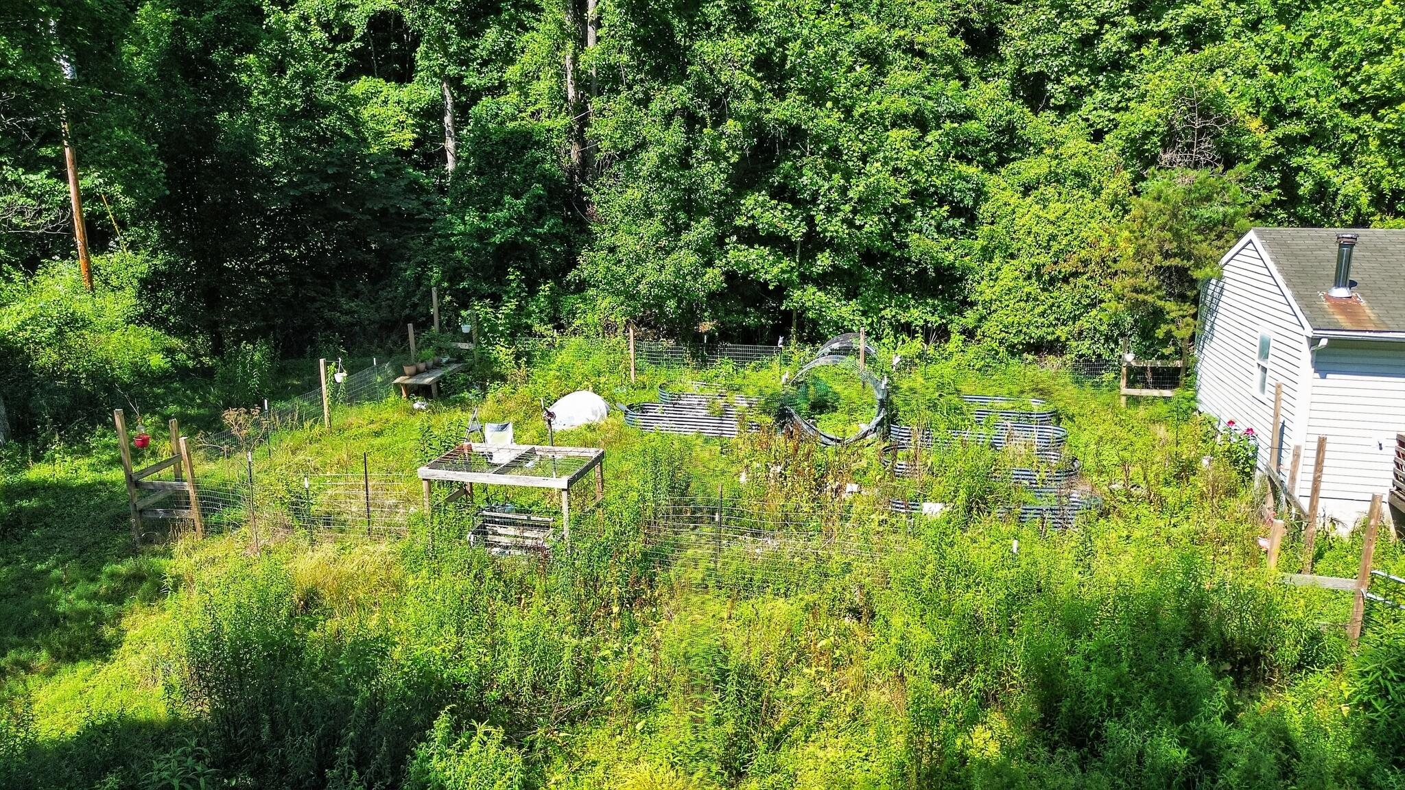 463 Hillman Road Olive Hill, KY 41164 - Photo 20 of 30 13_463_Hillman_Hollow_Rd-0786