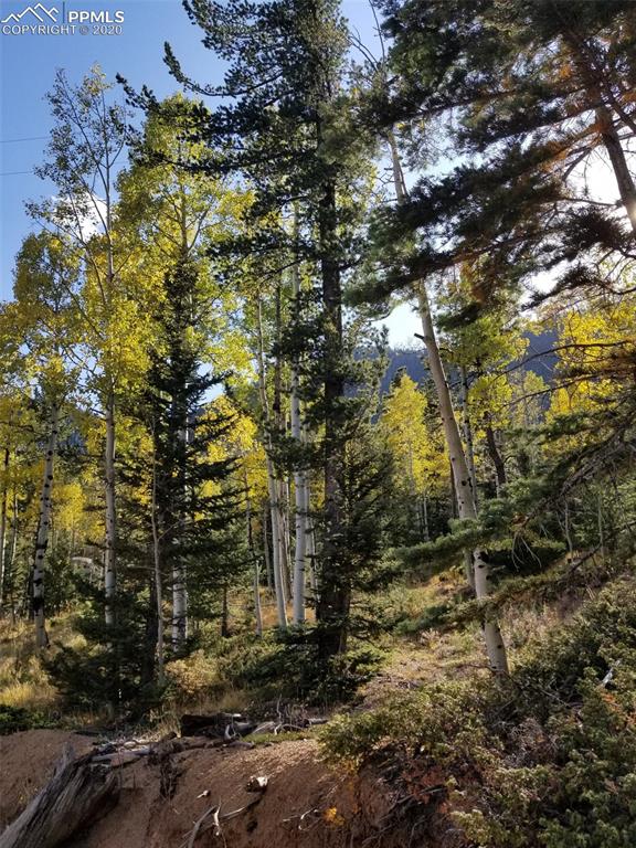 Forest Road Manitou Springs, CO 80829 - Photo 11 of 23
