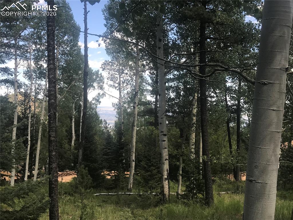 Forest Road Manitou Springs, CO 80829 - Photo 17 of 23