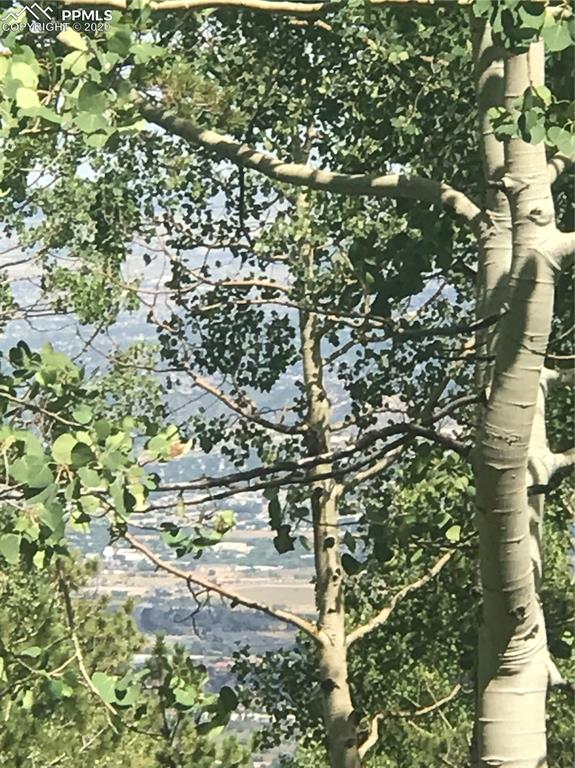 Forest Road Manitou Springs, CO 80829 - Photo 18 of 23