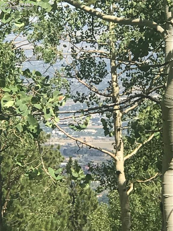 Forest Road Manitou Springs, CO 80829 - Photo 19 of 23