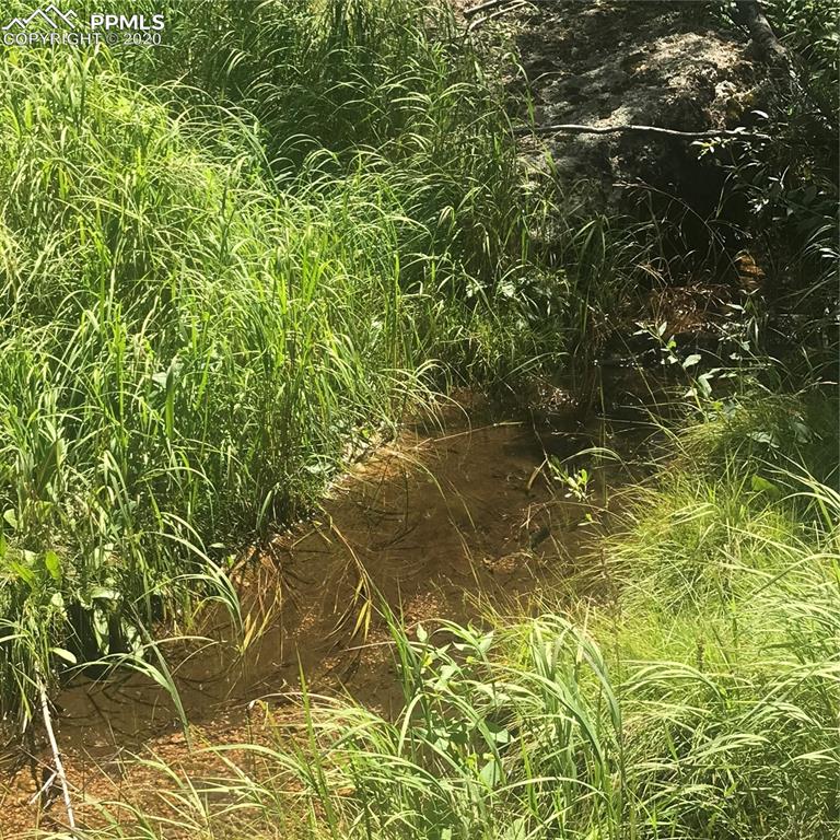 Forest Road Manitou Springs, CO 80829 - Photo 20 of 23