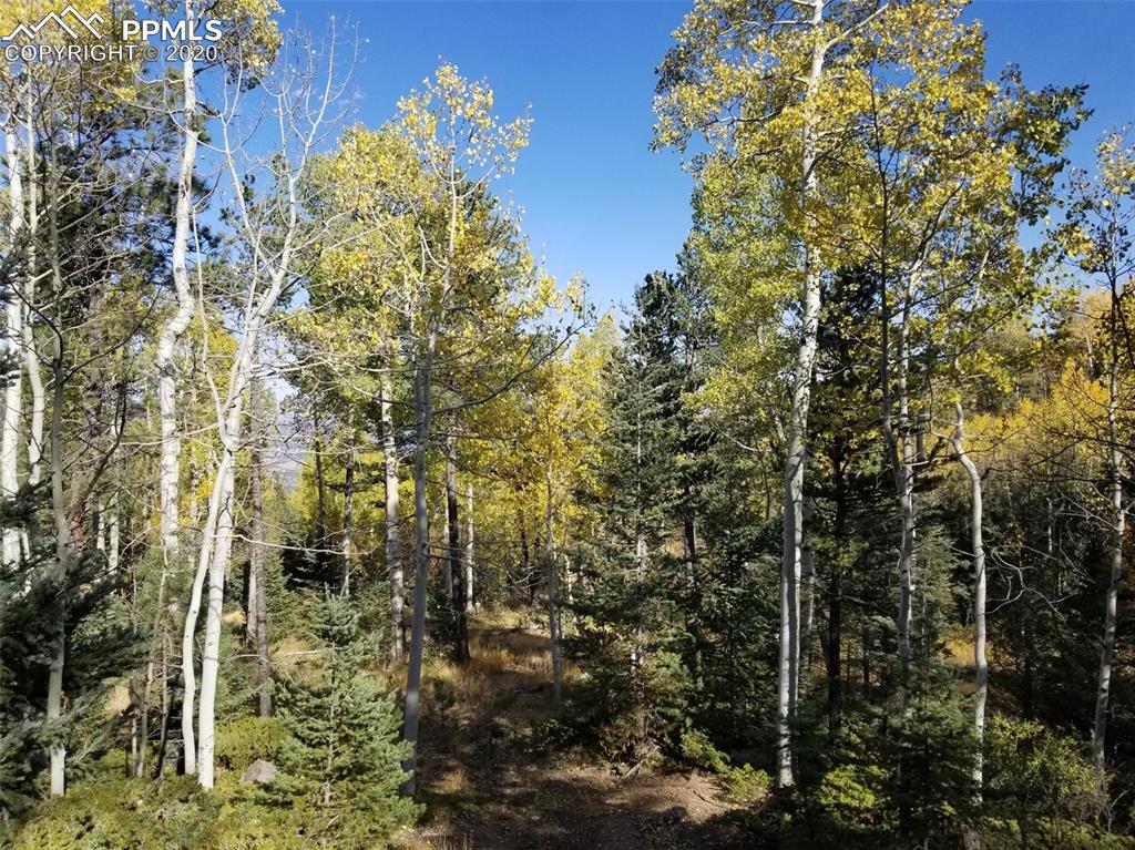 Forest Road Manitou Springs, CO 80829 - Photo 2 of 23
