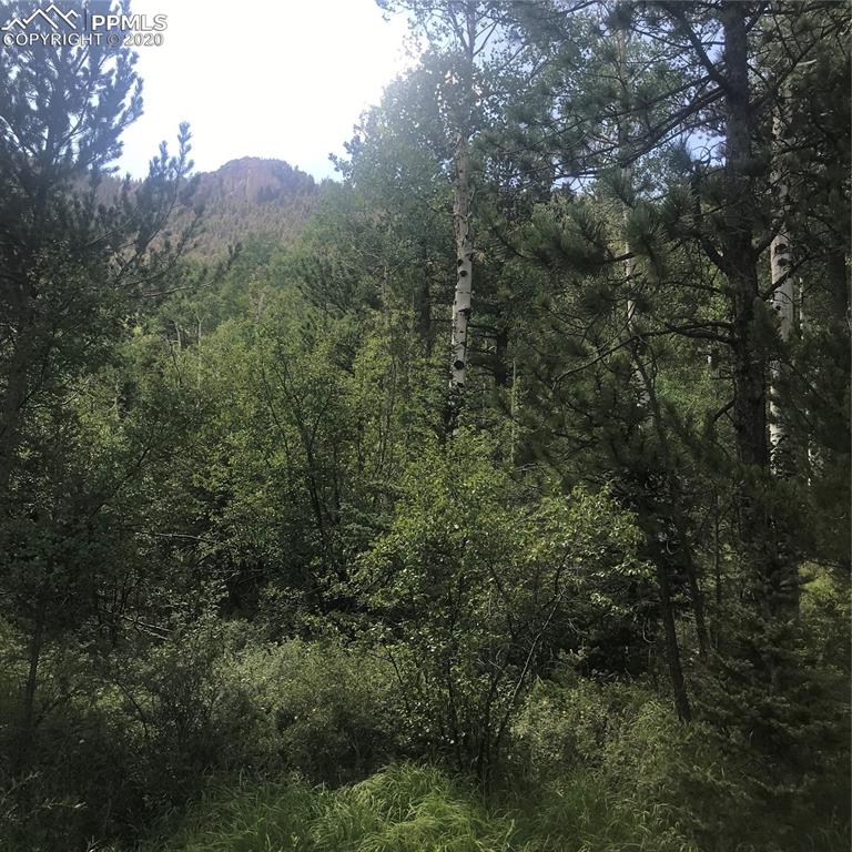 Forest Road Manitou Springs, CO 80829 - Photo 21 of 23