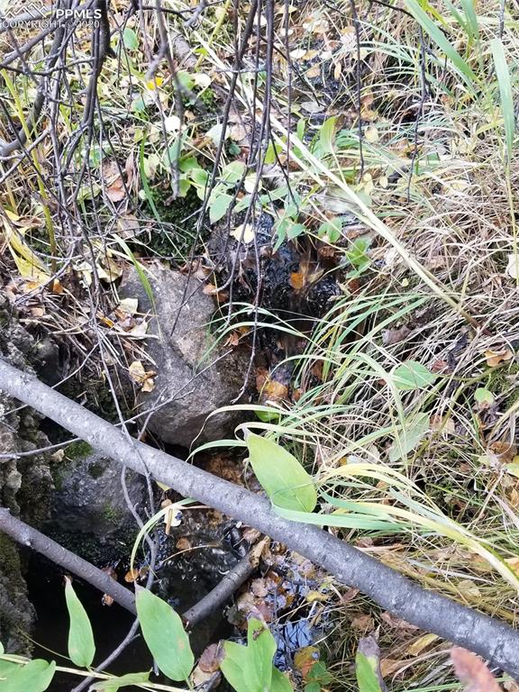 Forest Road Manitou Springs, CO 80829 - Photo 5 of 23