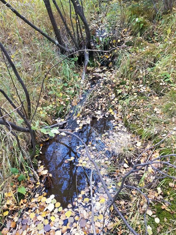 Forest Road Manitou Springs, CO 80829 - Photo 6 of 23