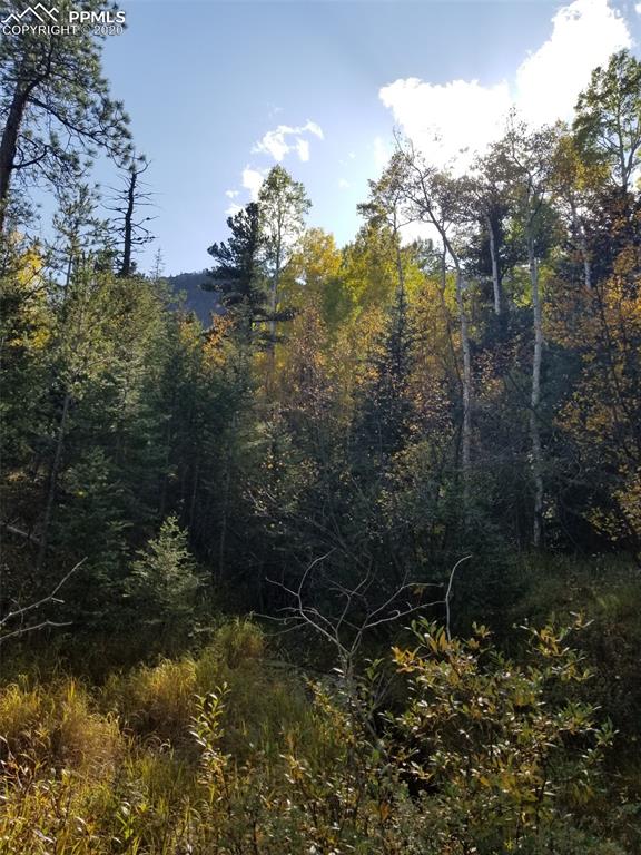 Forest Road Manitou Springs, CO 80829 - Photo 7 of 23