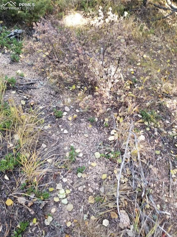 Forest Road Manitou Springs, CO 80829 - Photo 9 of 23