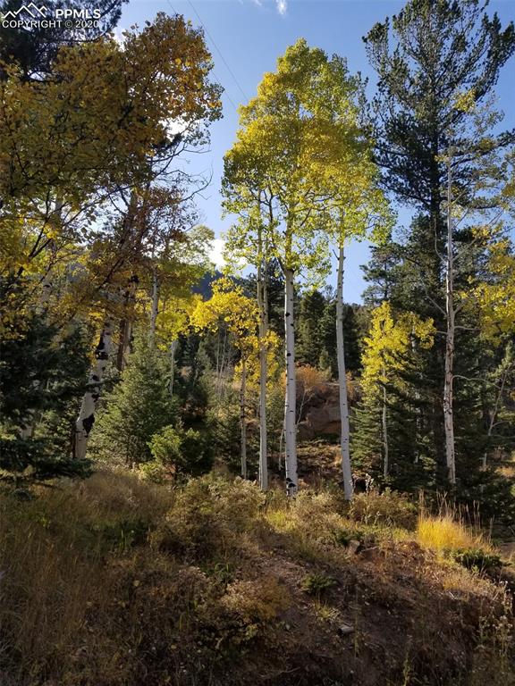 Forest Road Manitou Springs, CO 80829 - Photo 10 of 23