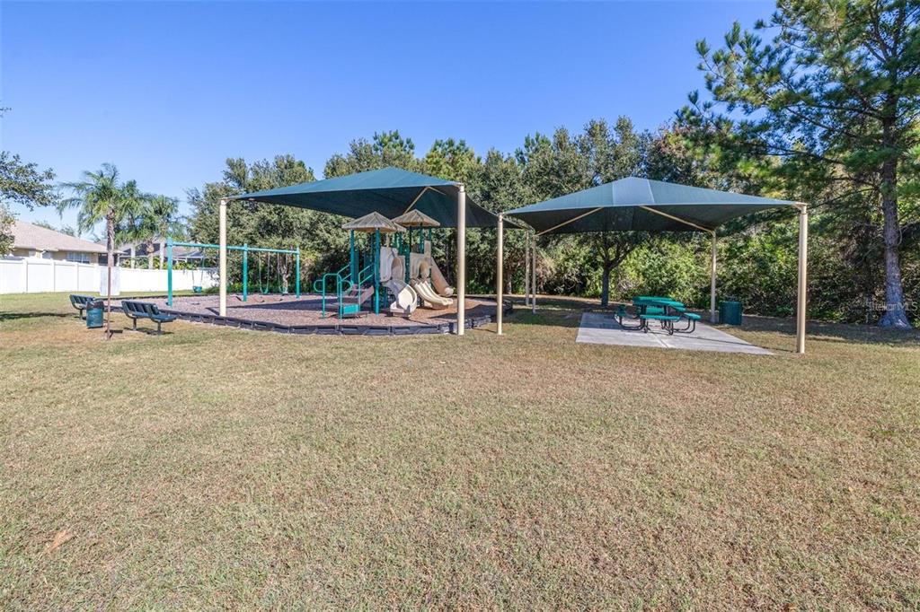 16641 Fairbolt Way Odessa, FL 33556 - Photo 40 of 53
