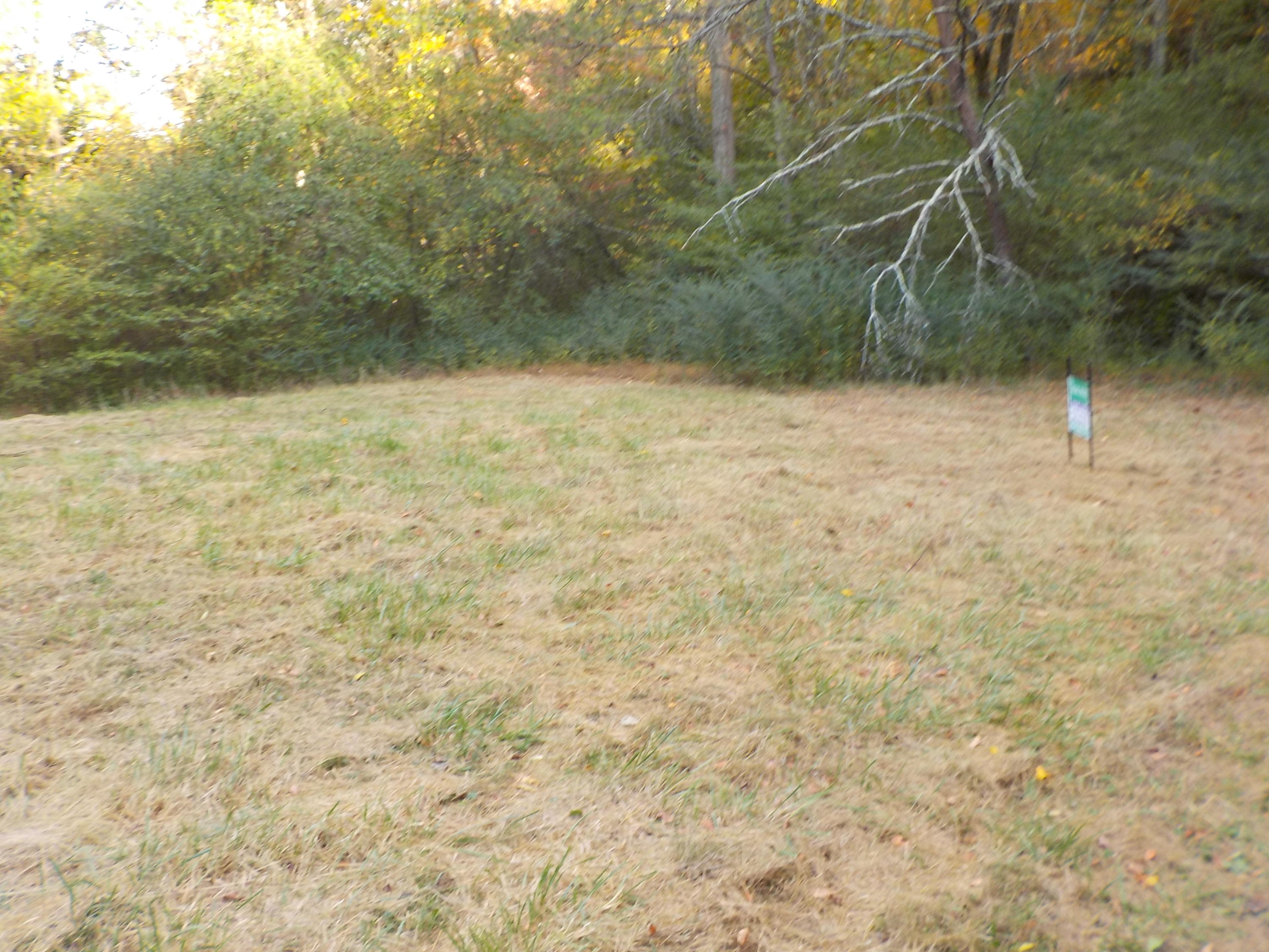 472 Northwest Bazel Road Harriman, TN 37748 - Photo 17 of 22 DSCN4323
