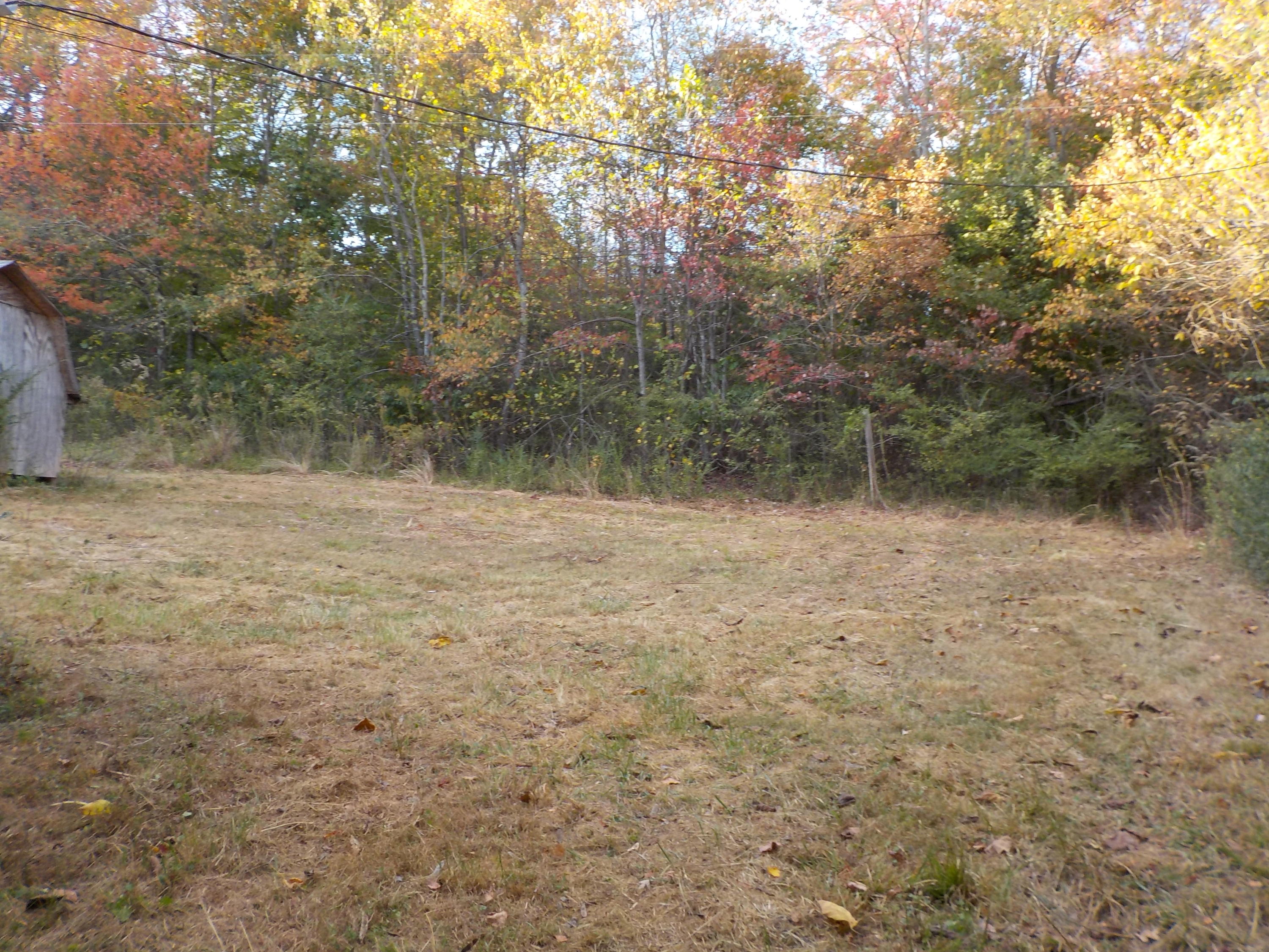 472 Northwest Bazel Road Harriman, TN 37748 - Photo 19 of 22 DSCN4333