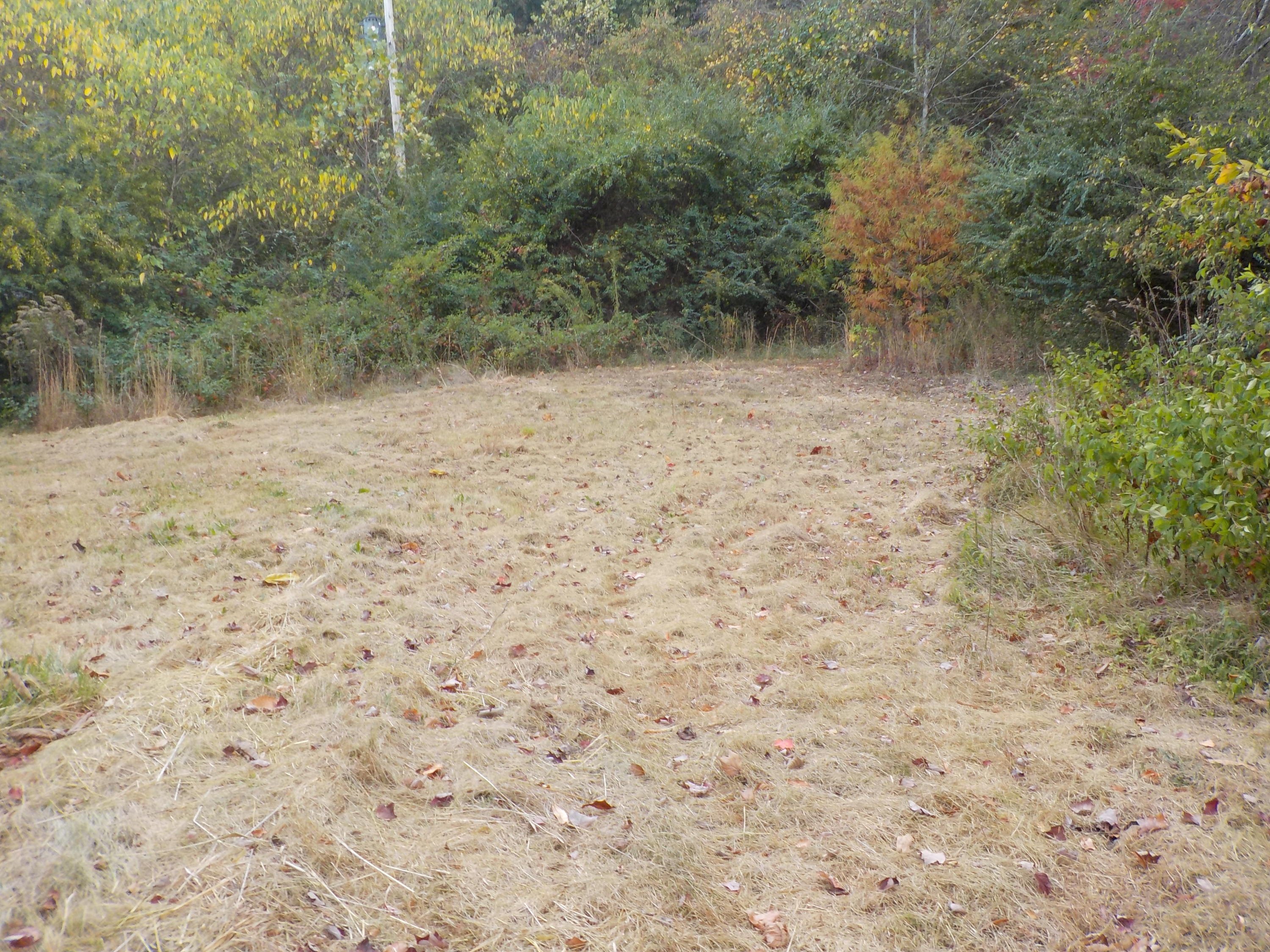 472 Northwest Bazel Road Harriman, TN 37748 - Photo 22 of 22 DSCN4342