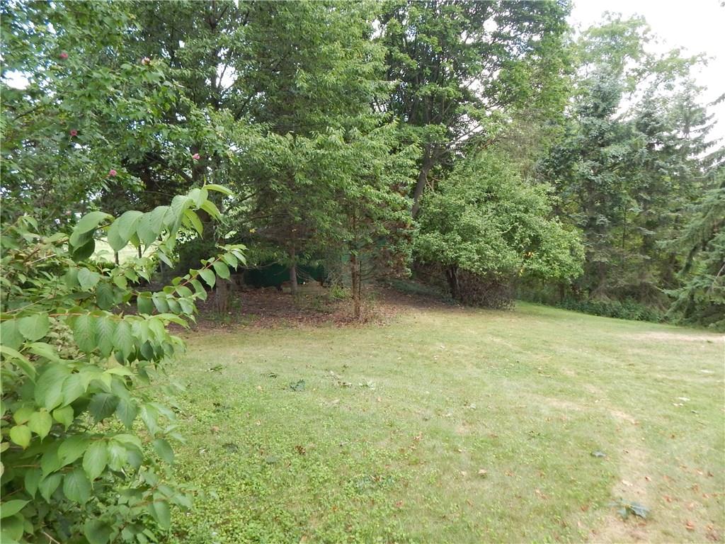 2513 Haymaker Road Monroeville, PA 15146 - Photo 19 of 21 TREED YARD AREA.