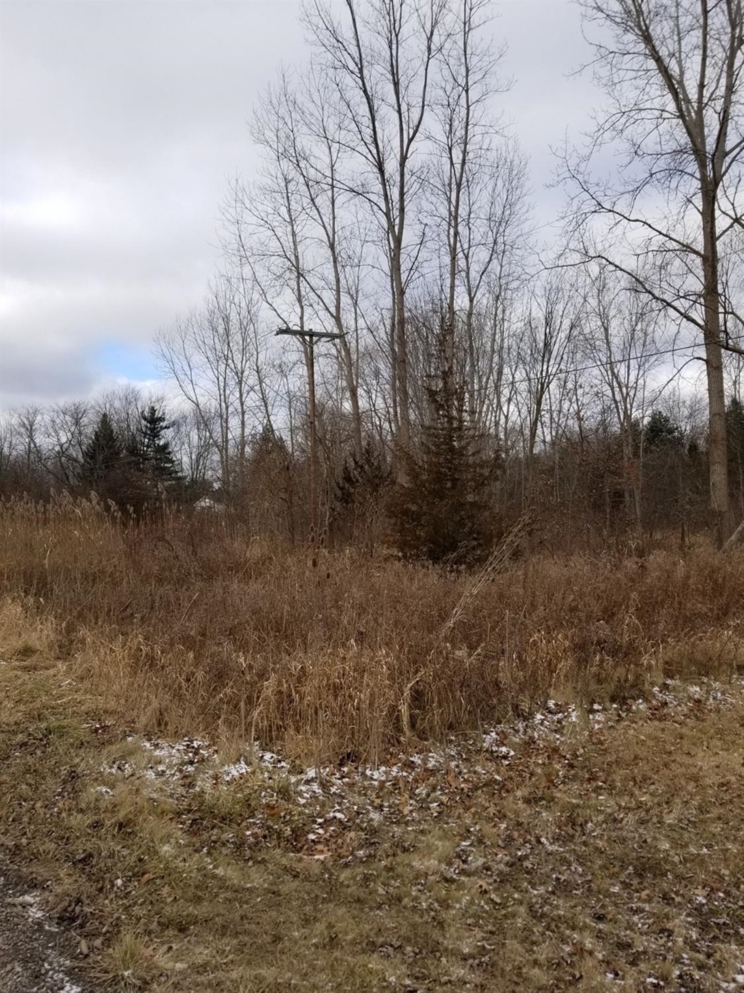 43848 Bemis Road Belleville, MI 48111 - Photo 1 of 4 Photo 1