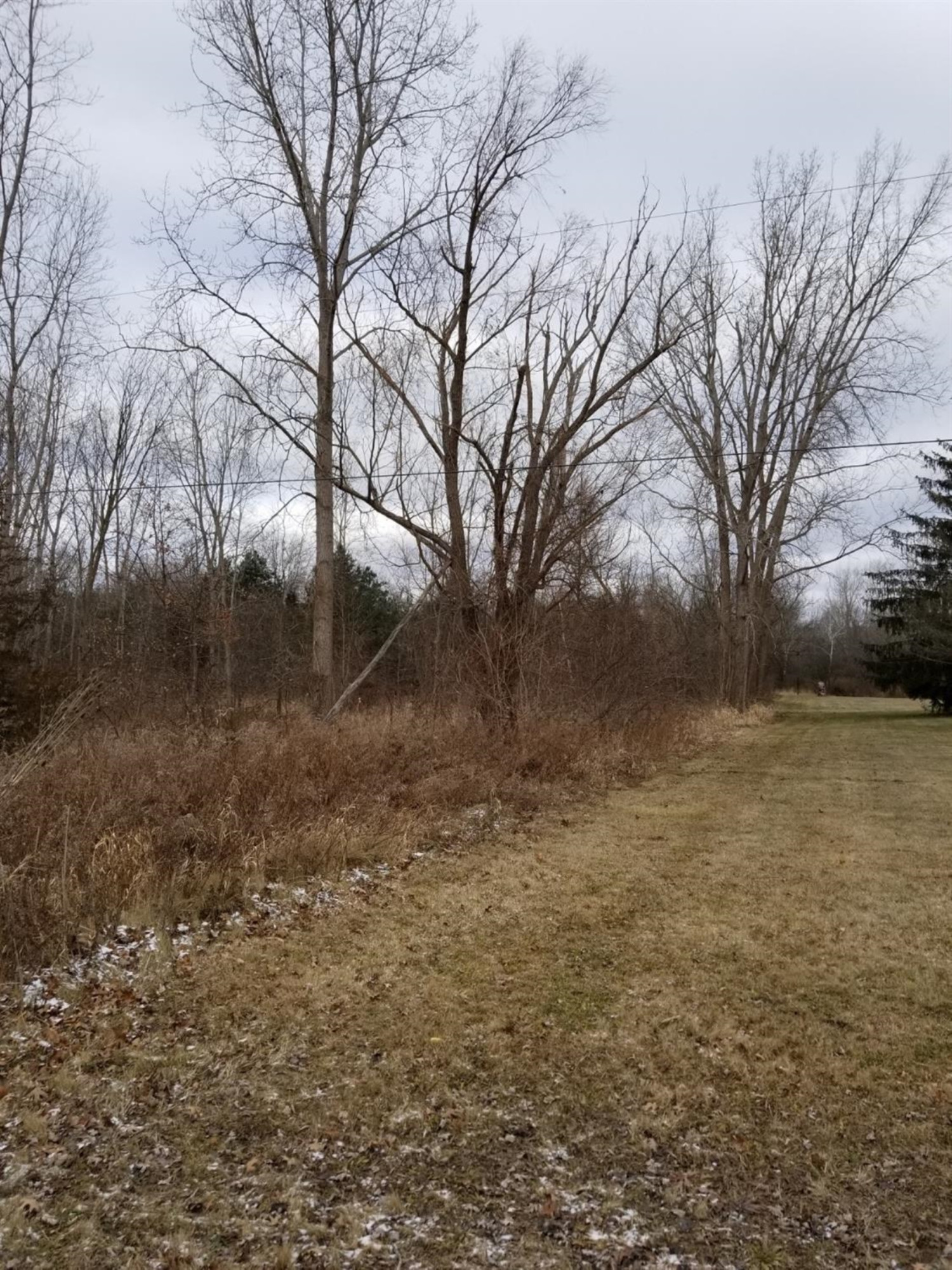 43848 Bemis Road Belleville, MI 48111 - Photo 3 of 4 Photo 3