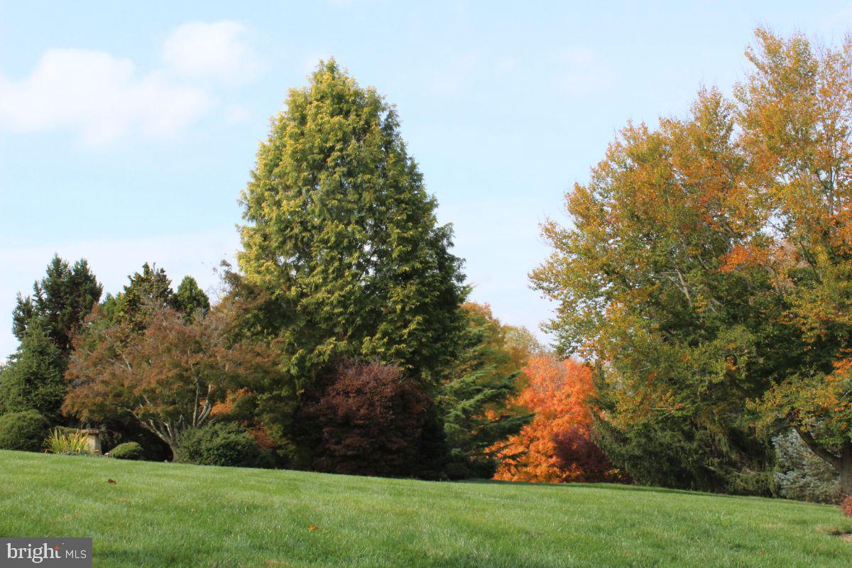 Loyalty Road Leesburg, VA 20176 - Photo 2 of 4