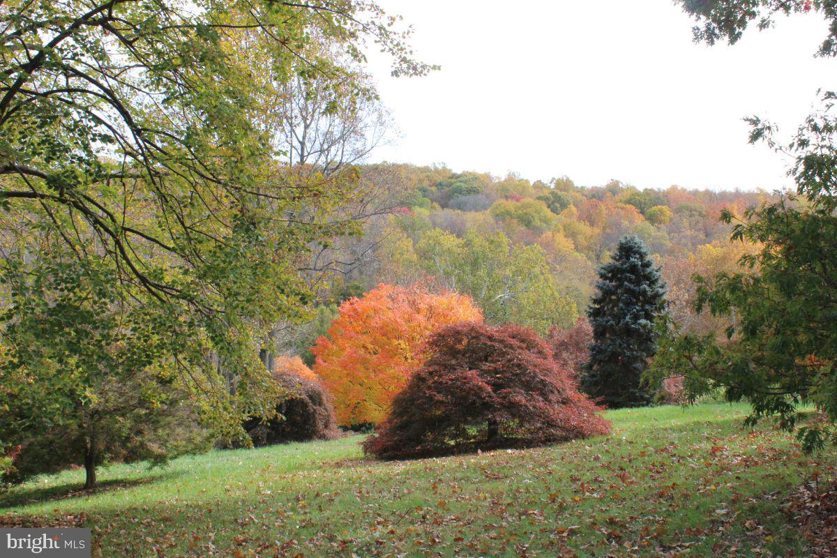 Loyalty Road Leesburg, VA 20176 - Photo 4 of 4