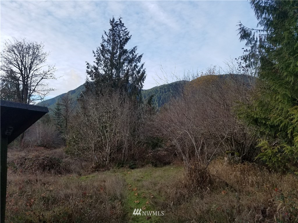 7 D Cockscomb Lane Randle, WA 98377 - Photo 5 of 8 Gallery Image 5