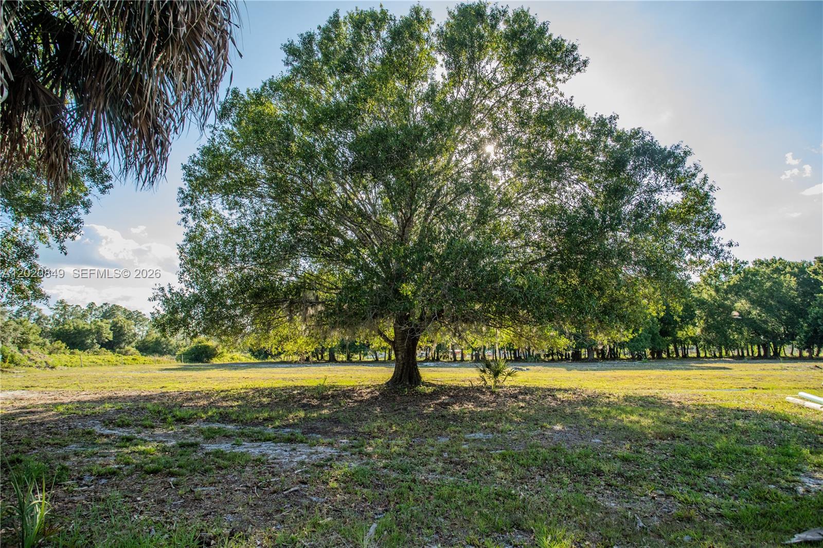 3880 Packinghouse Road Alva, FL 33920 - Photo 33 of 47