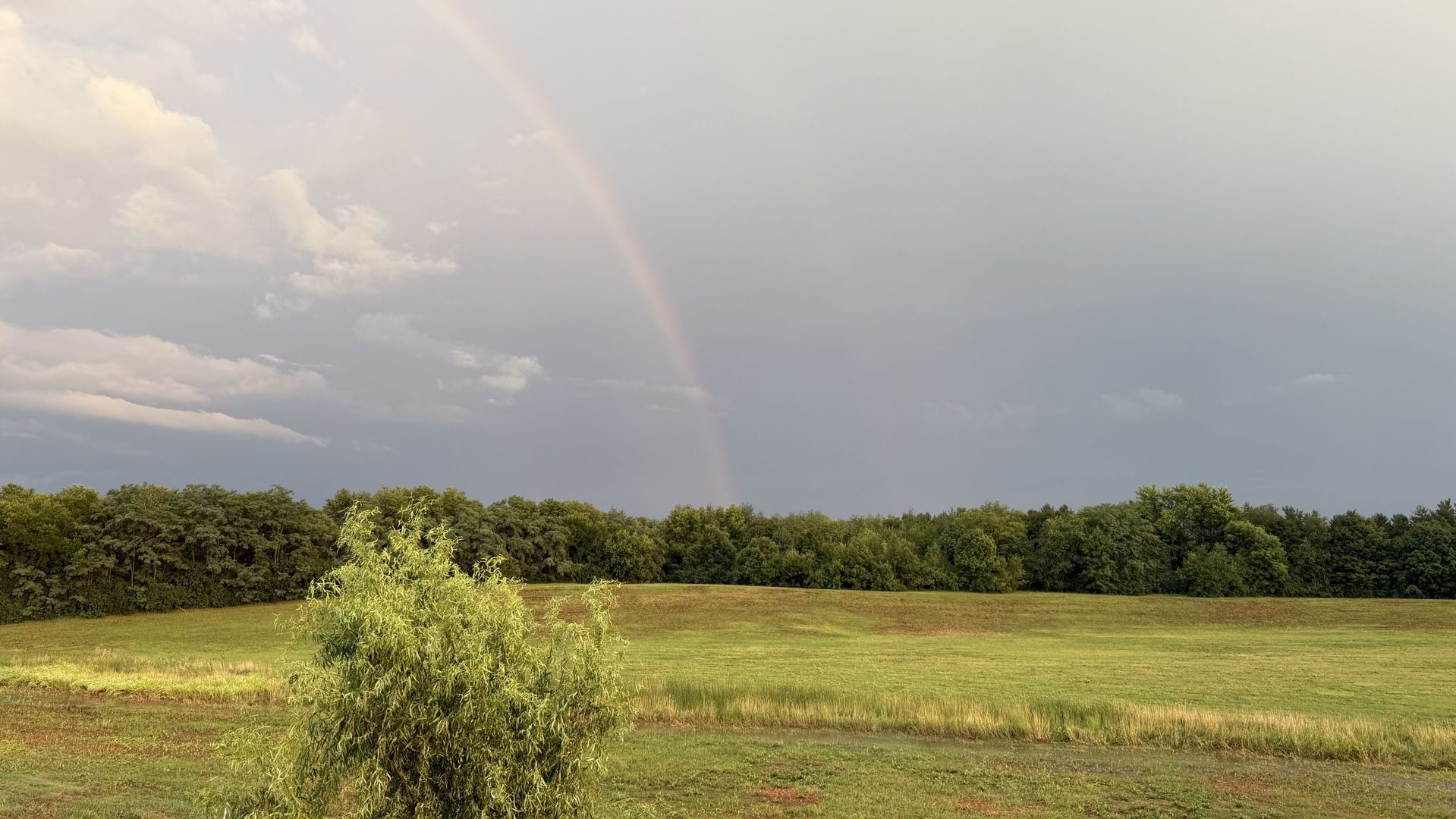 52 Winding Way Bloomington, IL 61705 - Photo 42 of 51