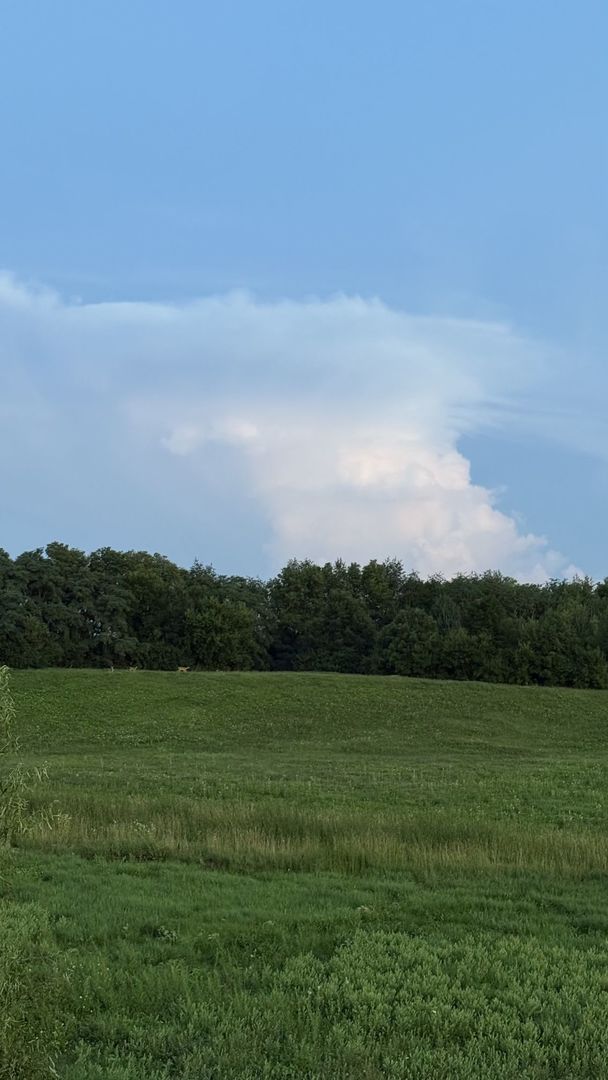 52 Winding Way Bloomington, IL 61705 - Photo 45 of 51 a view of a lake with mountain in the background